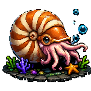 Chambered Nautilus