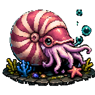 Chambered Nautilus