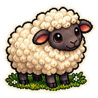 Sheep