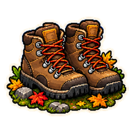 Hiking Boots